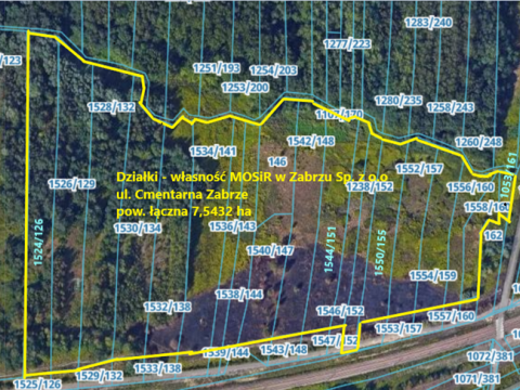 MOSiR w Zabrzu Sp. z o.o. ogłasza drugi ustny przetarg nieograniczony na sprzedaż prawa własności nieruchomości